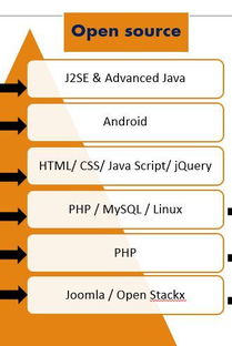 大学软件工程专业中的外包服务分方向 机遇、挑战与人才培养路径
